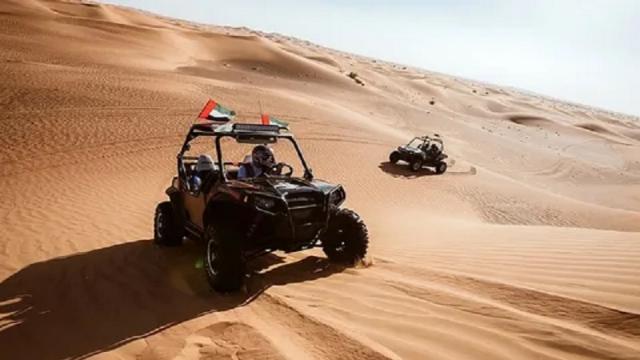 Buggy Rides for Large Groups: How to Plan